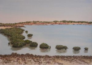 "Mangroves, Port of Broome" 2018 [Pen & Watercolour wash, 21x30cm]