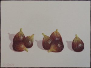 "Seven Figs in a Row" 2024 [23x30cm]