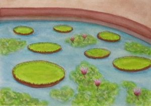 "Waterlilies" 2026 [15x21cm] (Watercolour)
